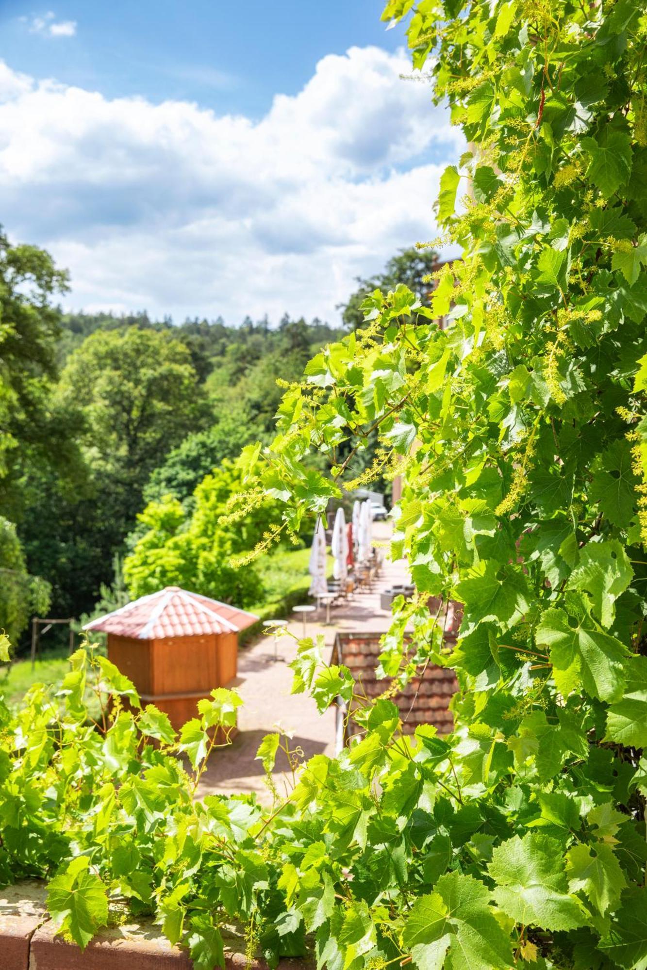 Roomingtons Hotel Franziskushoehe Lohr المظهر الخارجي الصورة